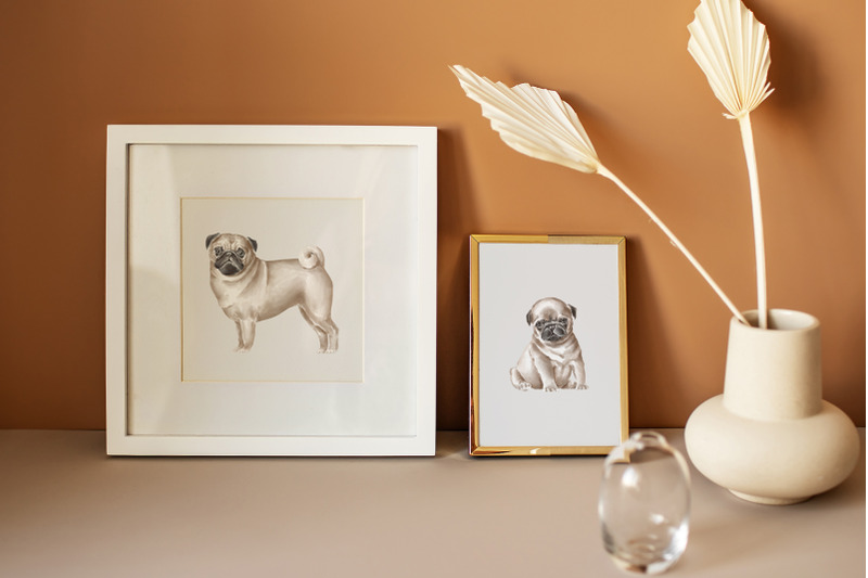 pug-dogs-png-clipart