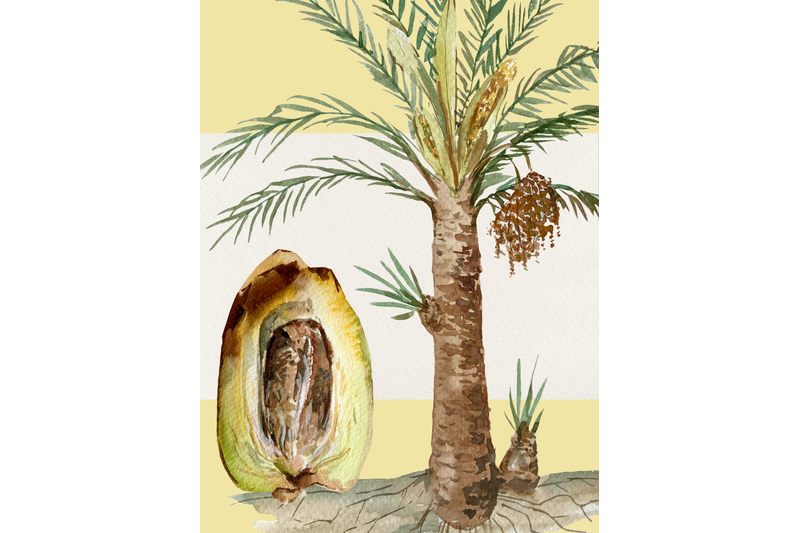 date-palm-watercolor-clip-art