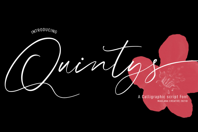 quintys-calligraphy-script-font