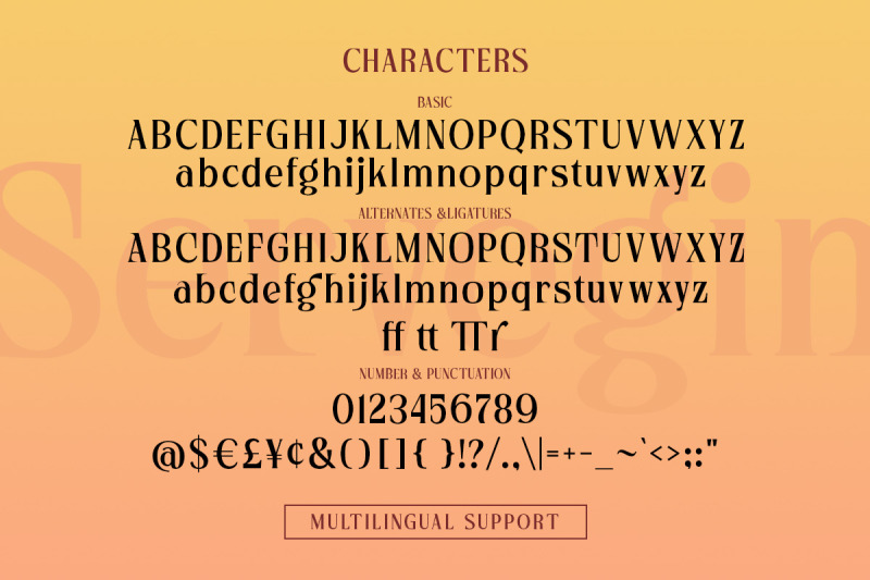 servegin-modern-serif-font