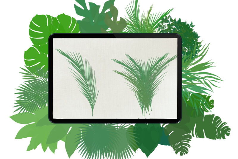 palm-leaves-brushes-for-procreate