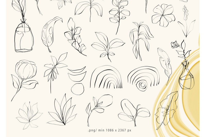 floral-line-art-clipart-botanical-line-drawing-38-png-files