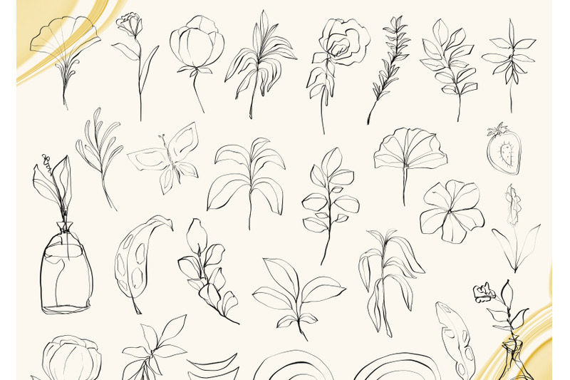 floral-line-art-clipart-botanical-line-drawing-38-png-files