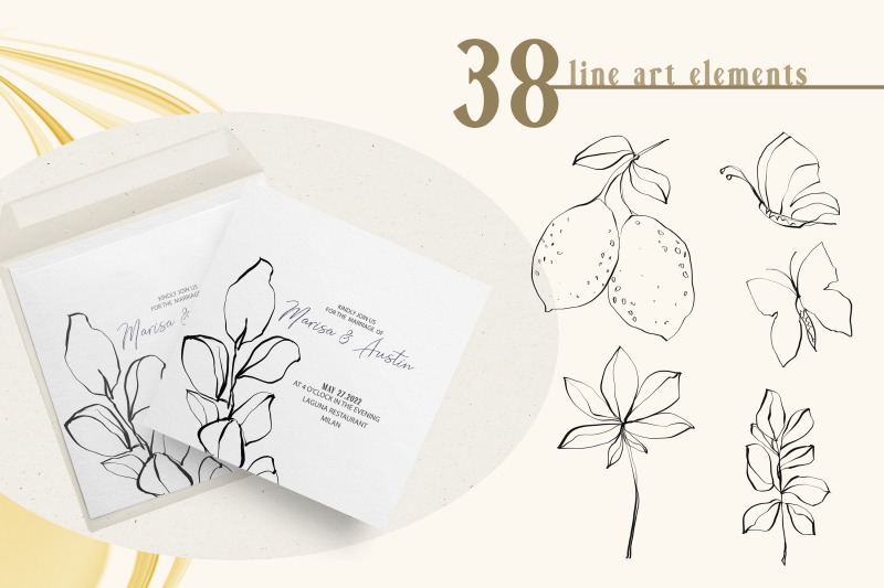 floral-line-art-clipart-botanical-line-drawing-38-png-files