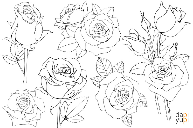 rose-flower-line-art-graphic-rose-svg-bundle