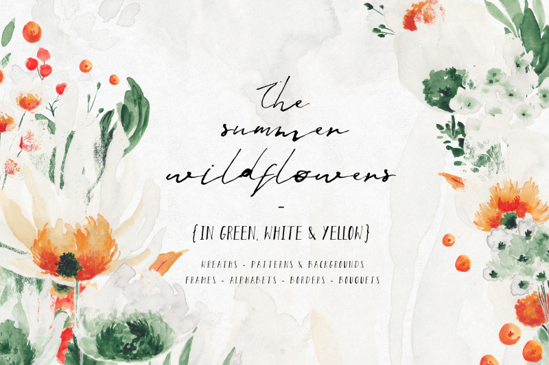 summer-wildflowers-illustration-pack