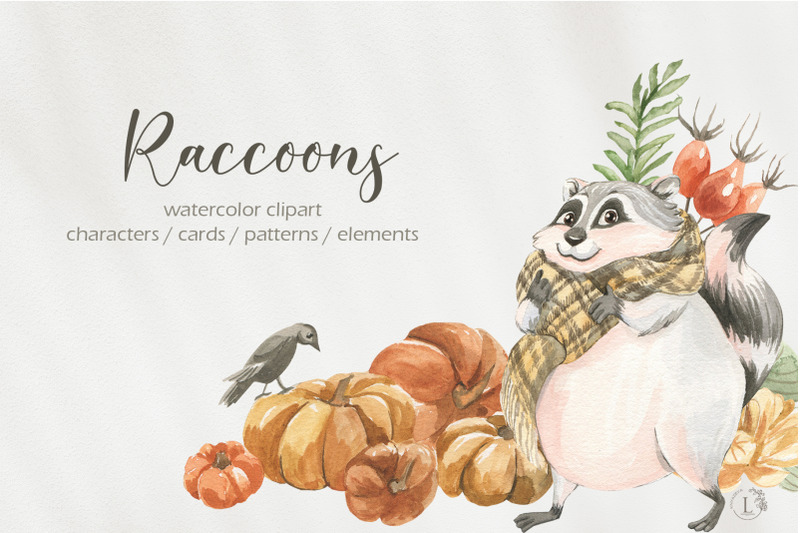 cute-autumn-raccoons