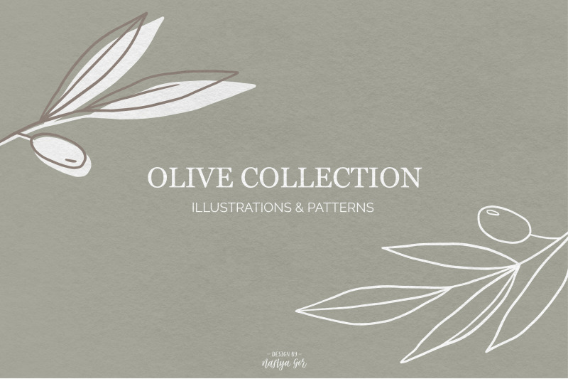olive-branch-graphic-collection