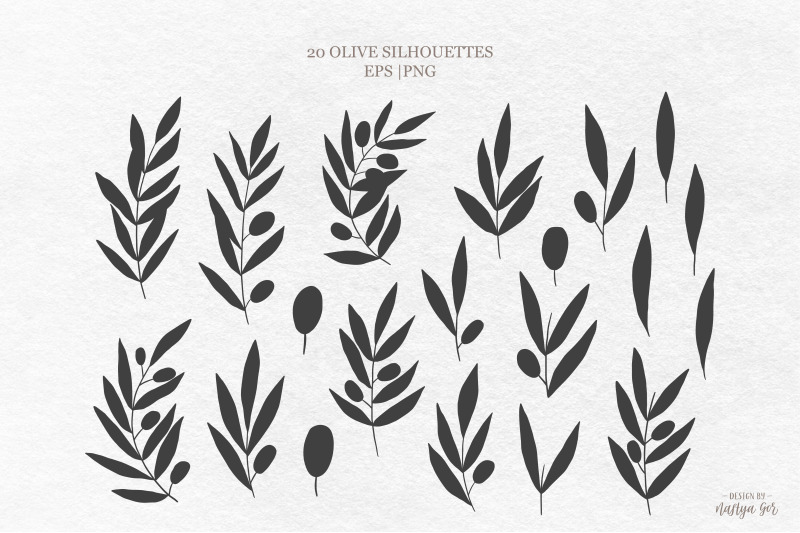 olive-branch-graphic-collection