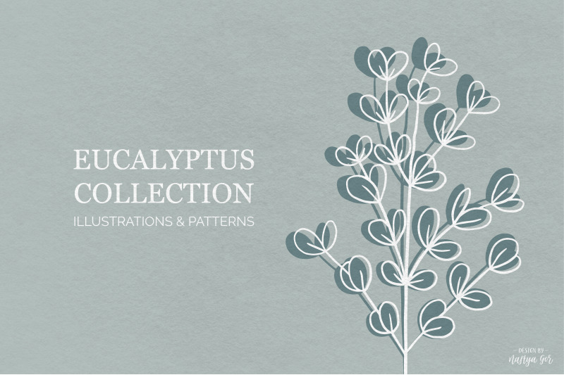eucalyptus-graphic-collection