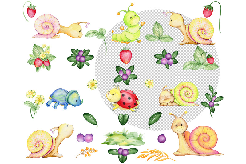 watercolor-animals-snails-clipart-ladybug-beetle-caterpillar-stra