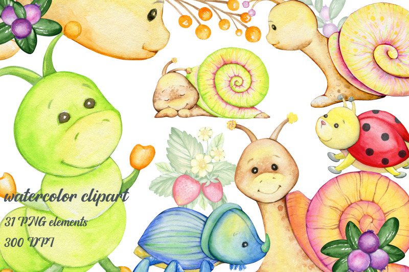 watercolor-animals-snails-clipart-ladybug-beetle-caterpillar-stra