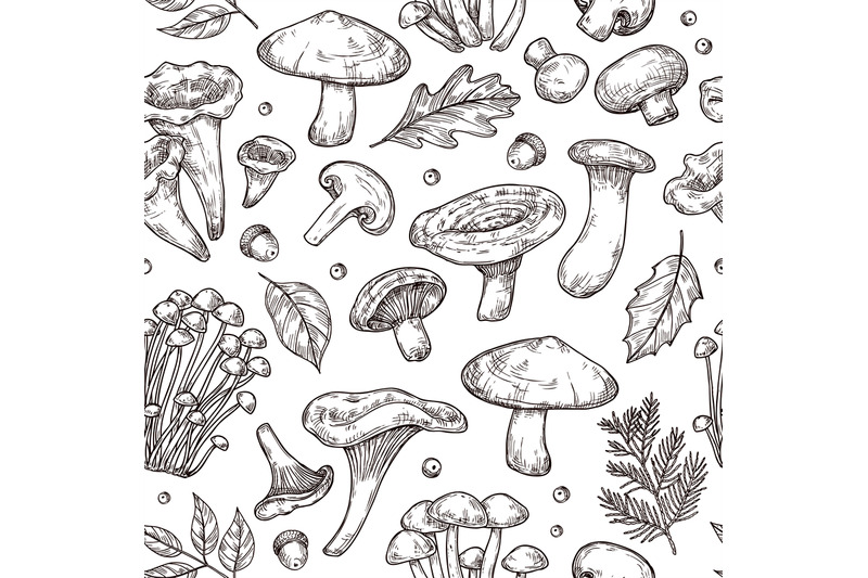 autumn-forest-pattern-sketch-mushrooms-forest-food-berries-leaves-ba