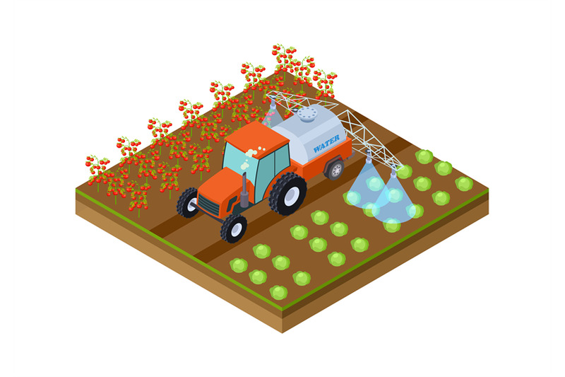 automatic-crop-irrigation-machine-watering-tomatoes-and-cabbage-isol