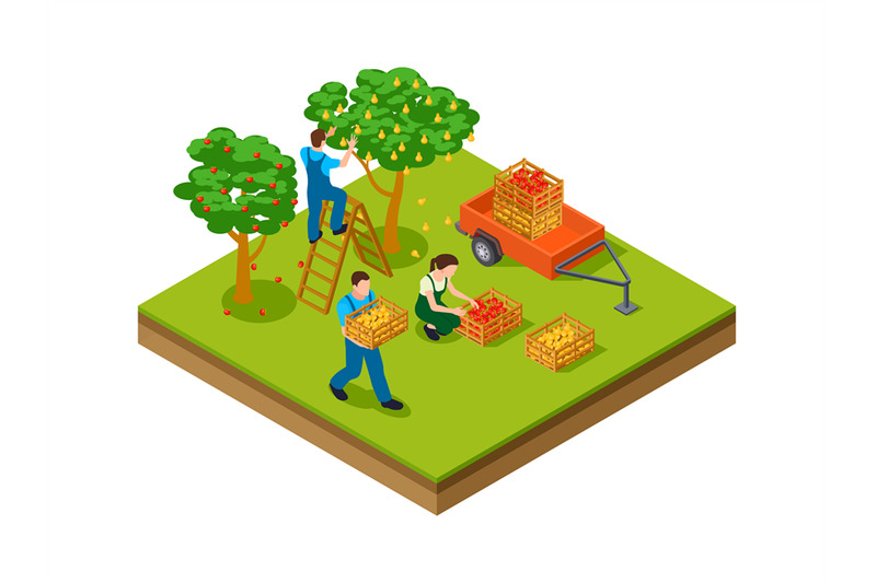 isometric-gardening-farmers-plantation-agriculture-workers-harvestin