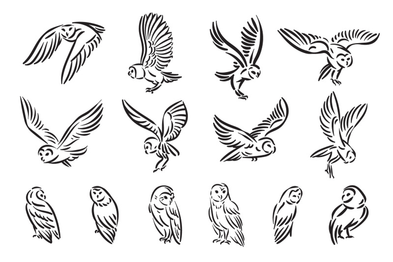 owl-bird-illustration-zip-file-include-eps10-for-adobe-illustrator