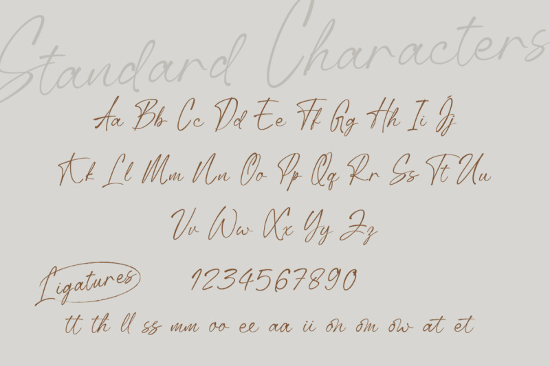 anstally-script-font