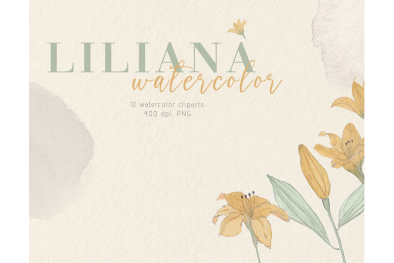 liliana-watercolor
