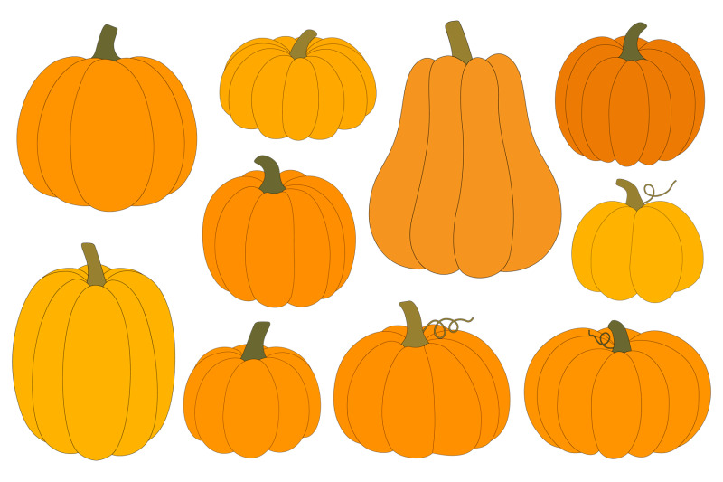 pumpkin-harvest-pumpkin-pie-autumn-pumpkin-pumpkin-svg