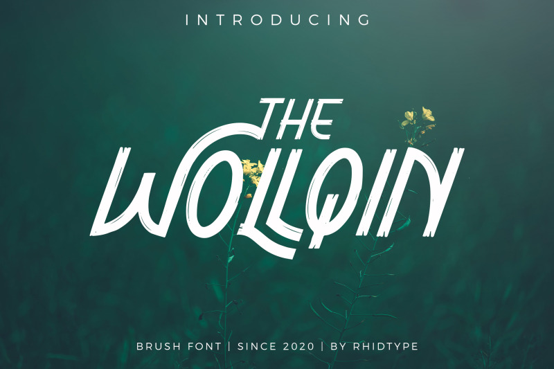 the-wollqin