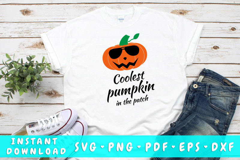 coolest-pumpkin-in-the-patch-svg