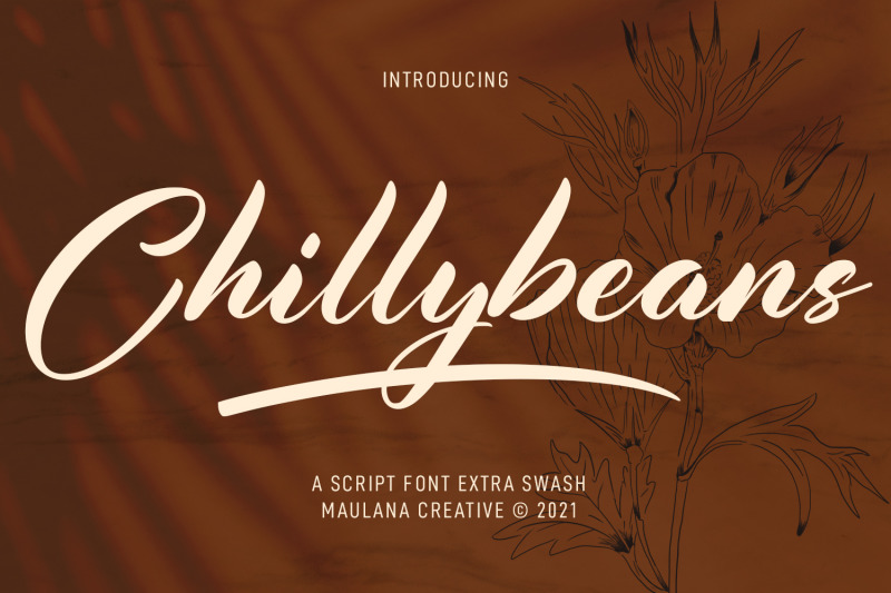 chillybeans-script-font