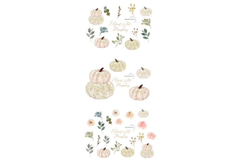 elegant-white-cream-pumpkin-clipart-ivory-white-pumpkin-illustration