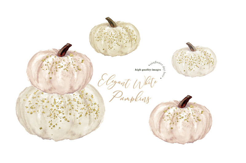 elegant-white-cream-pumpkin-clipart-ivory-white-pumpkin-illustration