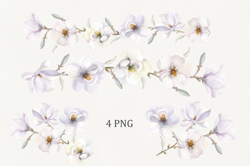 magnolia-flowers-watercolor-clipart