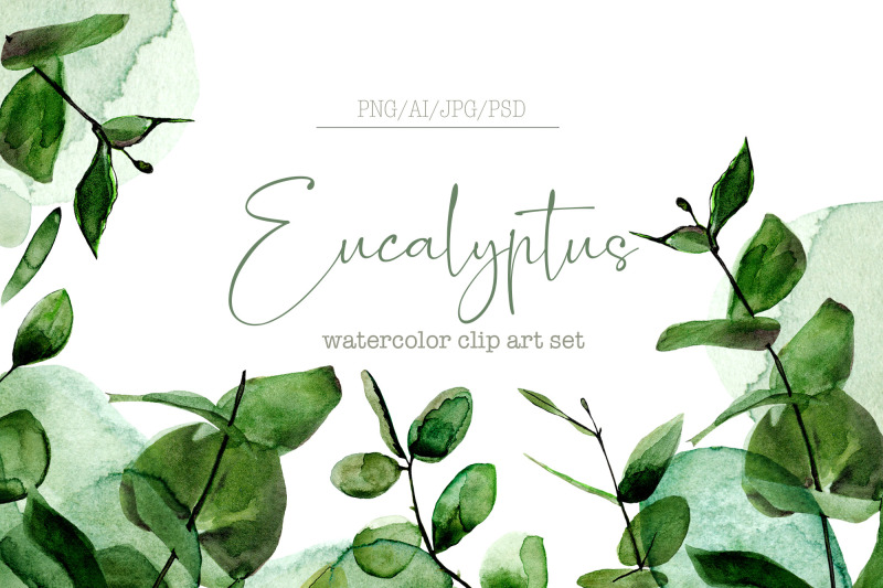 eucalyptus-watercolor-set