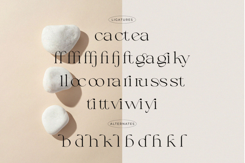 calliga-stylish-ligature-serif