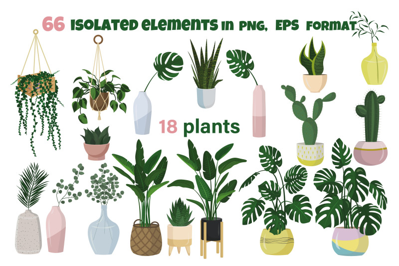 home-plants