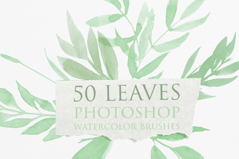 leaves-photoshop-watercolor-brushes