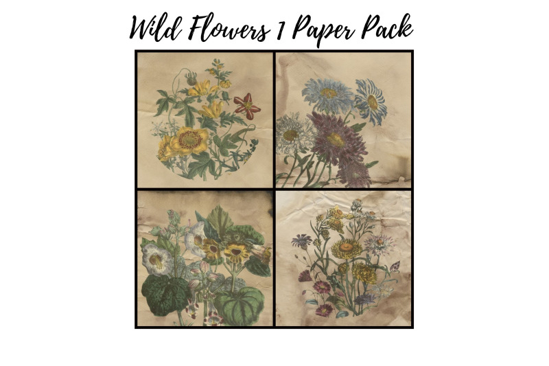wild-flowers-1-digital-paper-pack