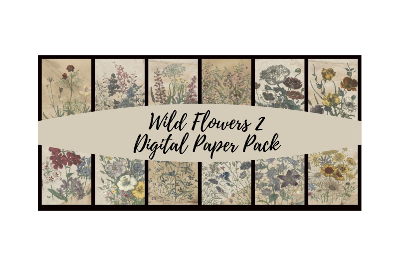 wild-flowers-2-digital-paper-pack