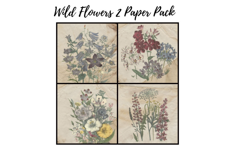 wild-flowers-2-digital-paper-pack