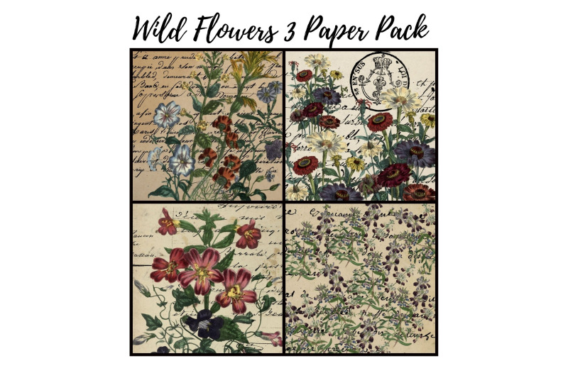 wild-flowers-3-digital-paper-pack