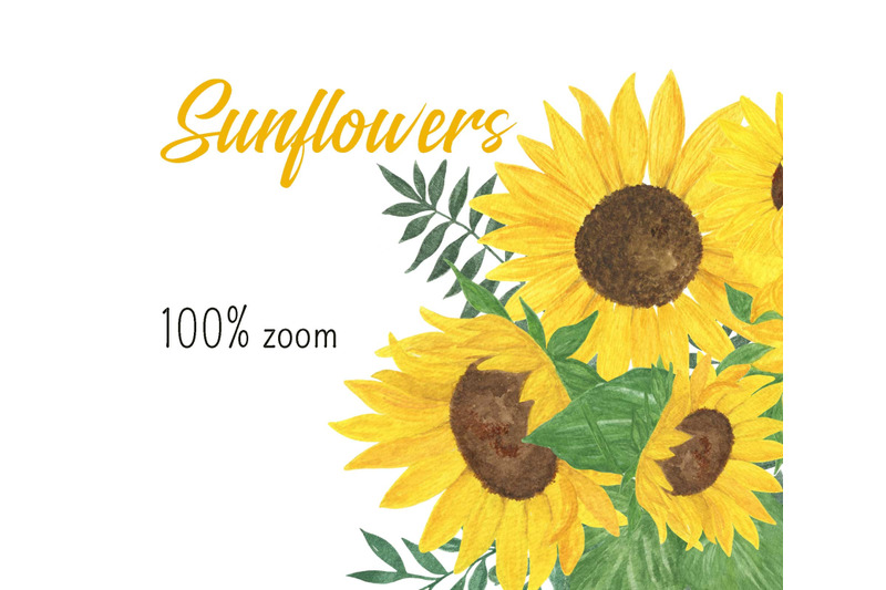 sunflower-watercolor-bouquet-sunflower-floral-clipart