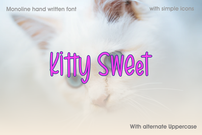 kitty-sweet