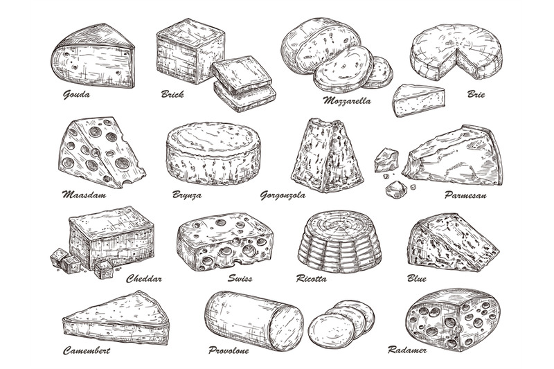 sketch-cheese-hand-drawn-product-holland-tasty-dairy-cuisine-food-i