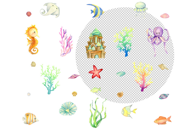 watercolor-seashells-clipart-coral-download-instant-download-cla