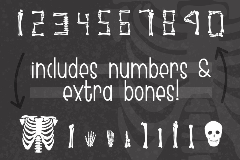 skeleton-bones