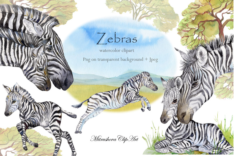 zebras-watercolor-set