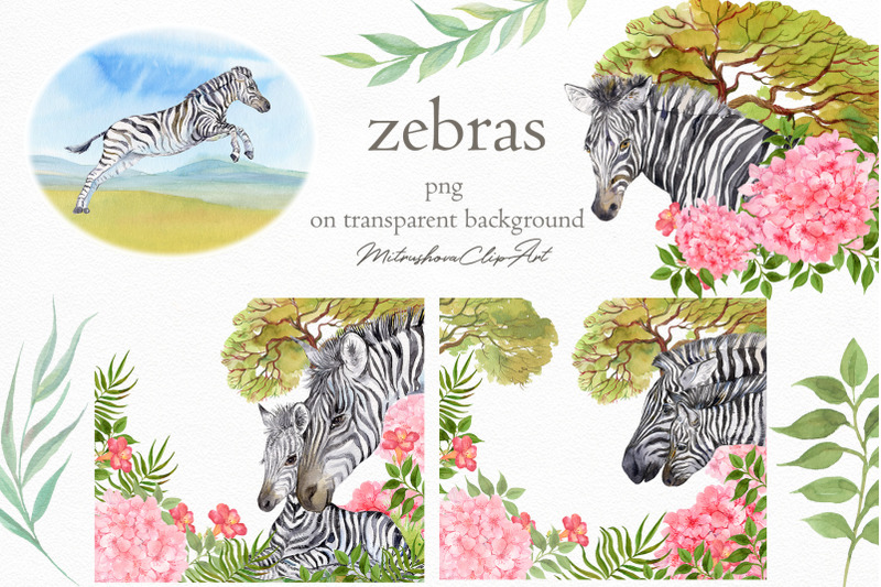 zebras-watercolor-set