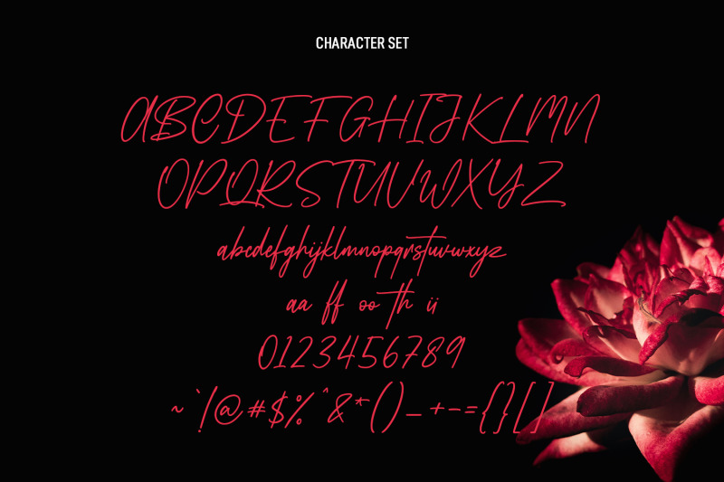 lafoyettes-signature-script-font