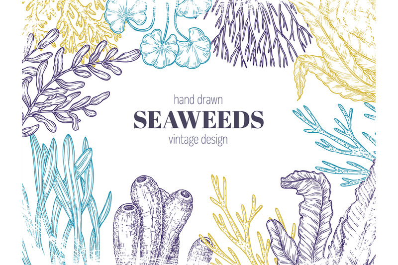 seaweed-background-natural-coral-seaweeds-art-sketching-abstract-gr
