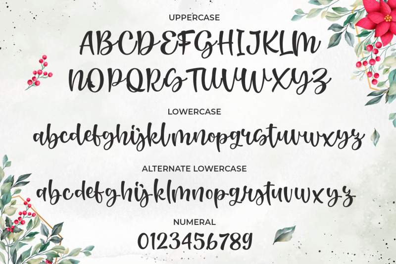 renatta-walters-font-modern-script