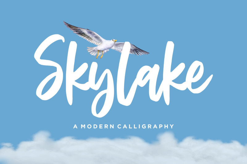 skylake-modern-calligraphy-font