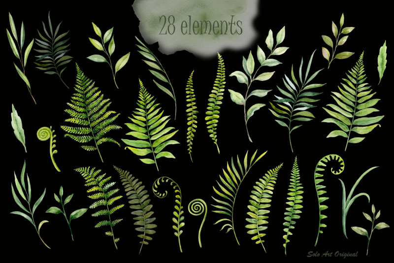 fern-leaves-branches-grass-greenery-clipart-watercolor