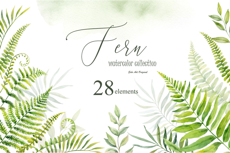 fern-leaves-branches-grass-greenery-clipart-watercolor